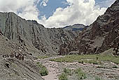 Ladakh - Hemis area famous for the trekking possibilities and for the Hemis Gompa.